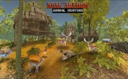 真正的弓箭手动物狩猎(Real Archer Animal Hunting)