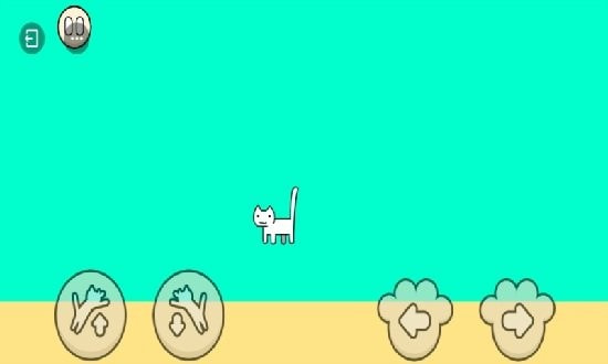 我家的猫咪有残疾