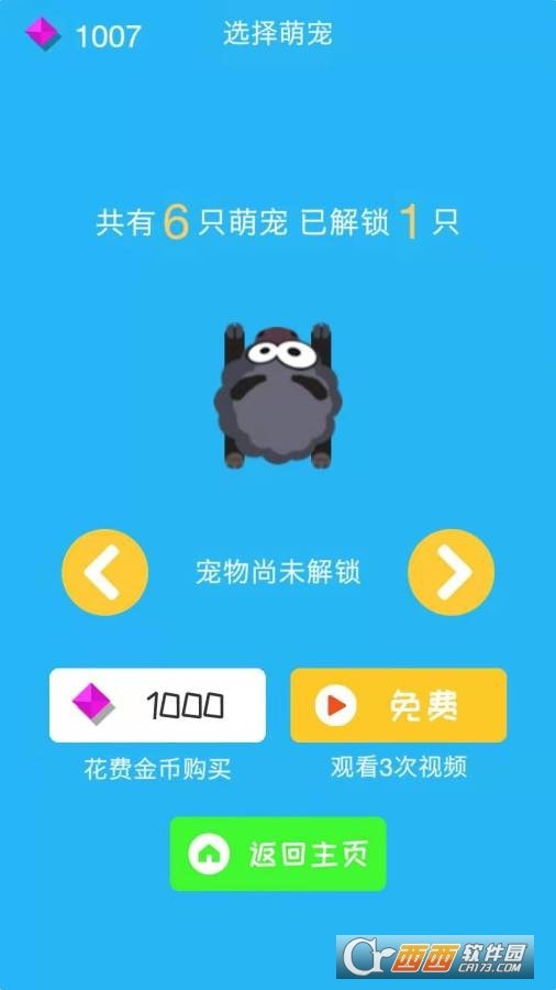 冲吧柯基