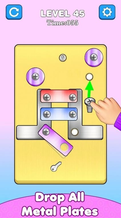 螺丝连螺母(Screw Pin Nut Puzzle Games)