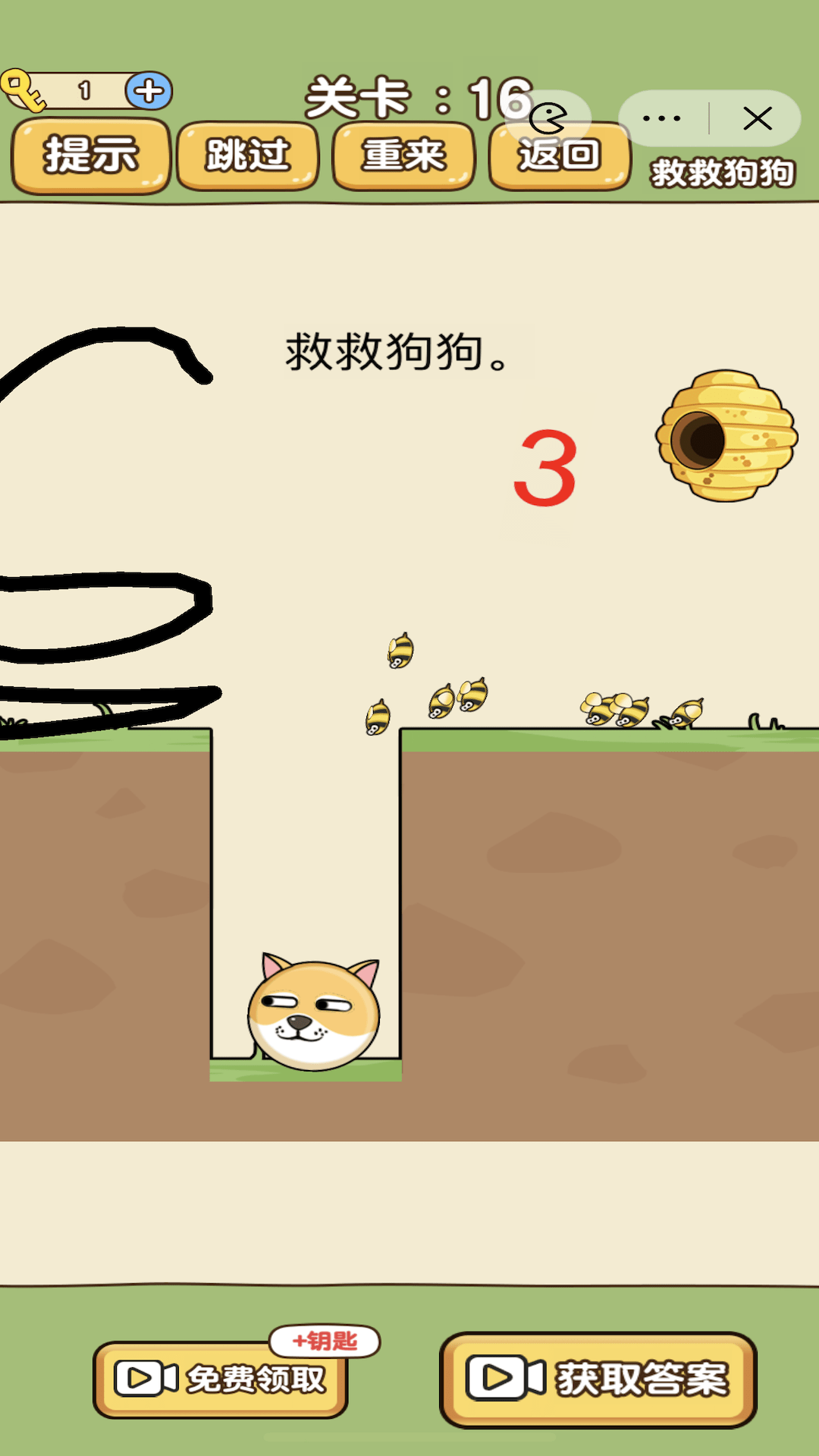 救救小动物