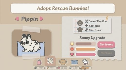 兔兔天堂（Bunny Haven）