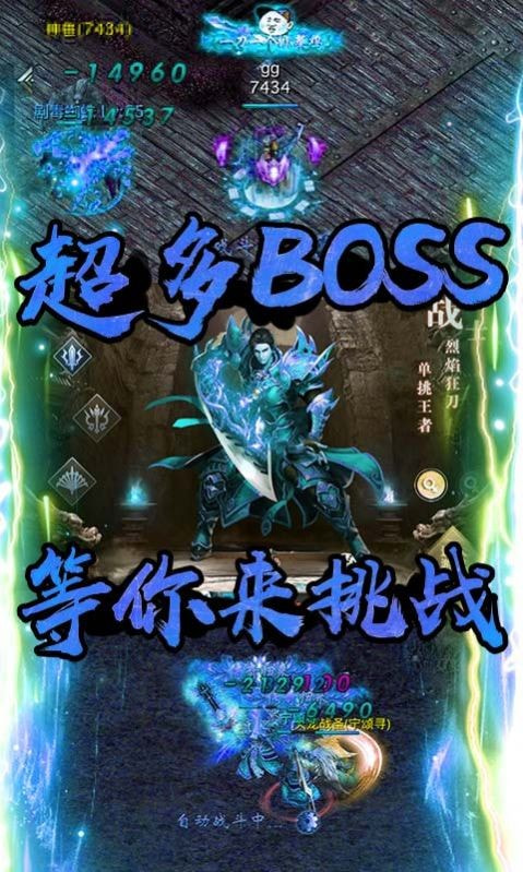 圣龙武魂单职业