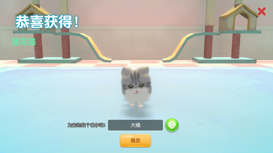养了个猫999999金币