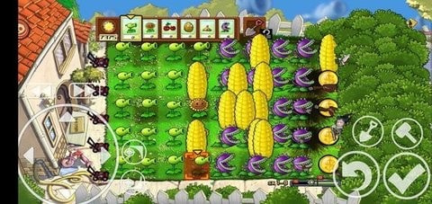 植物大战僵尸pvz核
