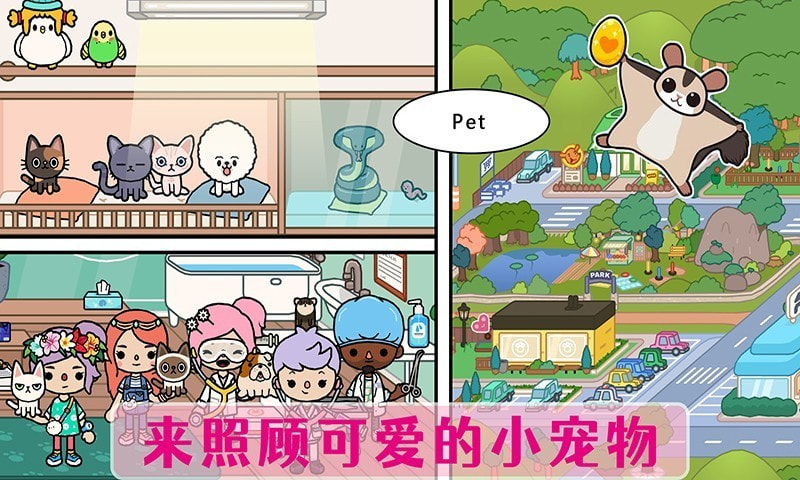 公主宠物化妆