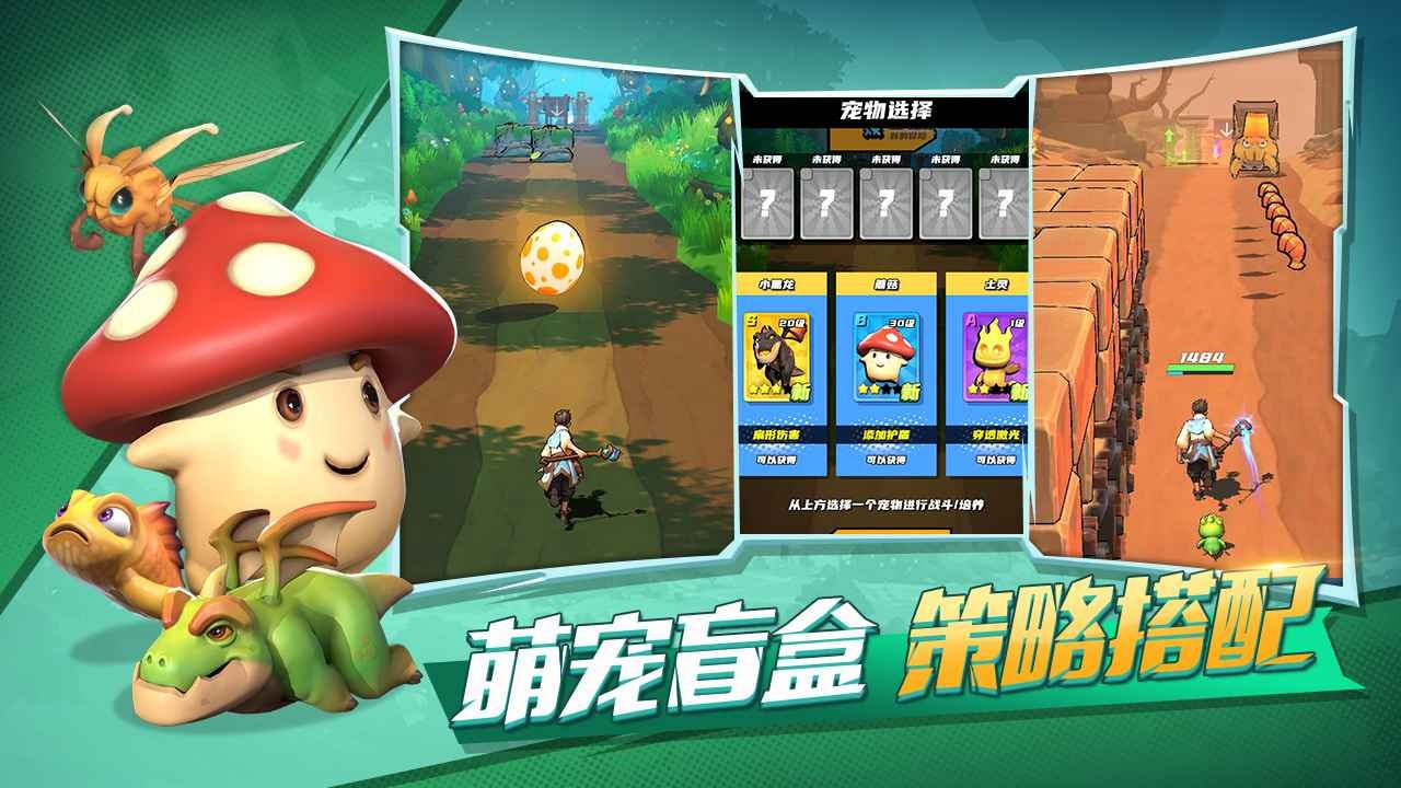 冒险与宝藏卡牌