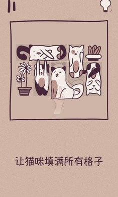 格子猫