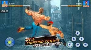 超级英雄空手道战士(Superhero Karaty Fighter)