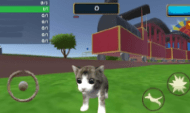 猫咪之家
