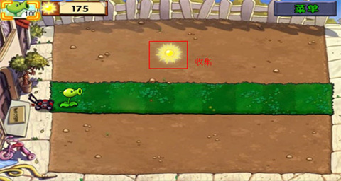 pvz国际版