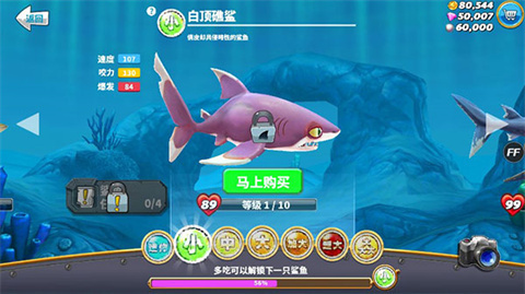 饥饿鲨世界全鲨鱼