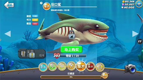 饥饿鲨世界全鲨鱼