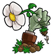 植物大战僵尸启命版官方手游下载-植物大战僵尸启命版安卓最新v1.0