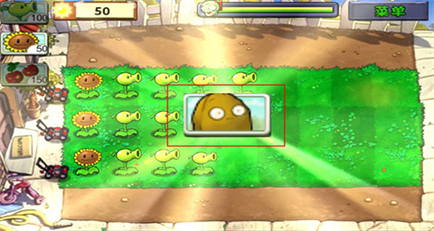 pvz国际版