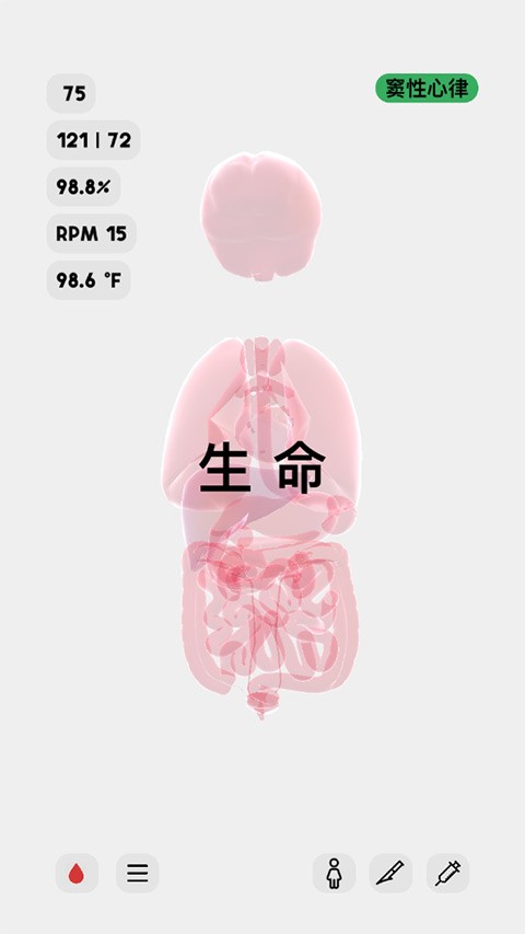 生命life游戏中文版下载安装-生命life安卓版官方最新v1.0
