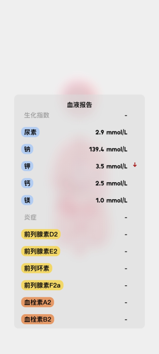 life生命模拟器安卓版汉化手游下载-life生命模拟器安卓版中文最新v1.0